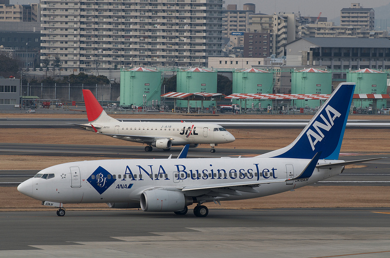 All Nippon Airways JA10AN(Boeing 737-700)